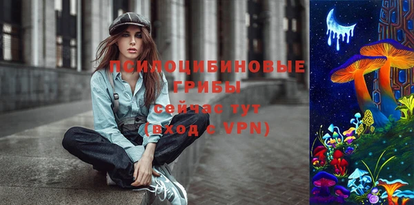 гашик Армянск