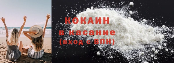 гашик Аркадак
