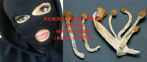 гашик Армянск