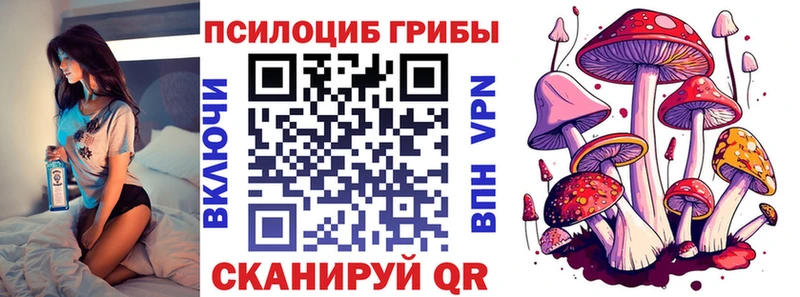Галлюциногенные грибы MAGIC MUSHROOMS  где найти   mega tor  Менделеевск 